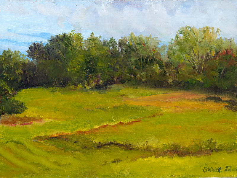 A green field, framed by a line of trees in the background, bakes in the heat. The sky is blue but cloudy, reminiscent of a humid summer day. 